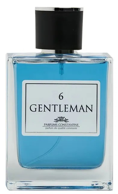 PARFUMS CONSTANTINE 6 GENTLEMAN men 100ml edt 4603720462064 - фото 67411