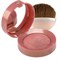 Bourjois Румяна "Pastel Joues" re-pack 33 тон 3052503753331
