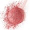 Bourjois Румяна "Pastel Joues" re-pack 74 тон 3052503757438 - фото 47103 Bourjois Румяна "Pastel Joues" re-pack 74 тон 3052503757438 - фото 47103
