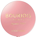 Bourjois Румяна Blusher 54 тон 3614225613265