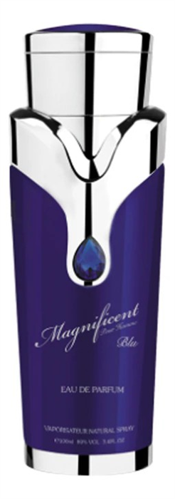 Armaf Magnificent BLU Pour Homme 100ml edt 6294015138306 - фото 67998