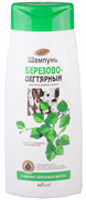 БЕЛИТА НАТУР Шампунь БЕРЕЗОВО-ДЕГТЯРНЫЙ д/пробл.волос 480 мл 4810151012304