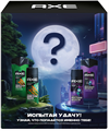 AXE Подарочный набор ИСПЫТАЙ УДАЧУ (Deo 150 мл +г/душ.) 4605922033837